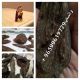 Rare Agarwood Oil & Oil