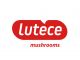 Lutece B.V.