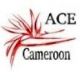 American Cameroon International Trading Company