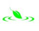 Jiangxi Global Natural Spices Co., Ltd