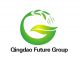 Qingdao Future Group