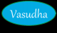 Vasudha Agro Exports