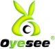 Oyesee Security Limited