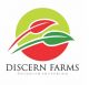 discern farms nigeria limited