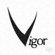 vigor import and export