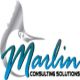 Marlin Consulting Solutions