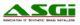 ASGi - Assoc of Synthetic Grass Installers