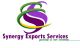 synergy services