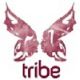 Tribe Marketinguk