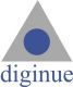 Diginue Technologies Pvt Ltd.,