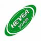 Bio Hevea Foam Factories (Pvt)Ltd